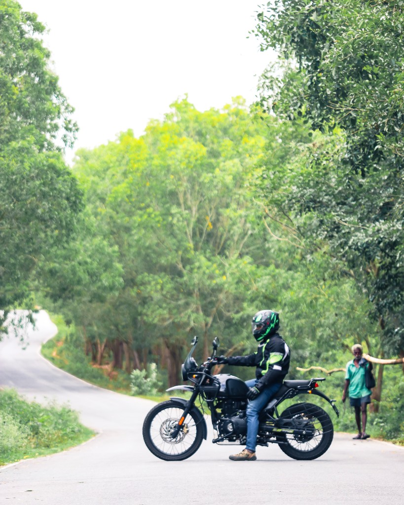 Rider on a black adventure motorcycle on a tree-lined road.